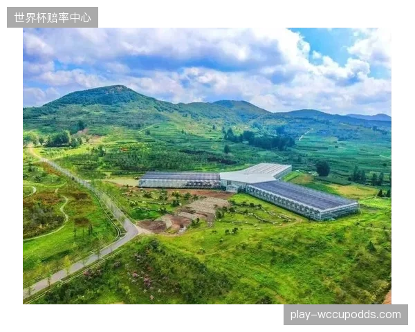 日照奥林匹克水上公园的体旅融合实践，验证了专项债对城市滨海体育产业链的带动效能